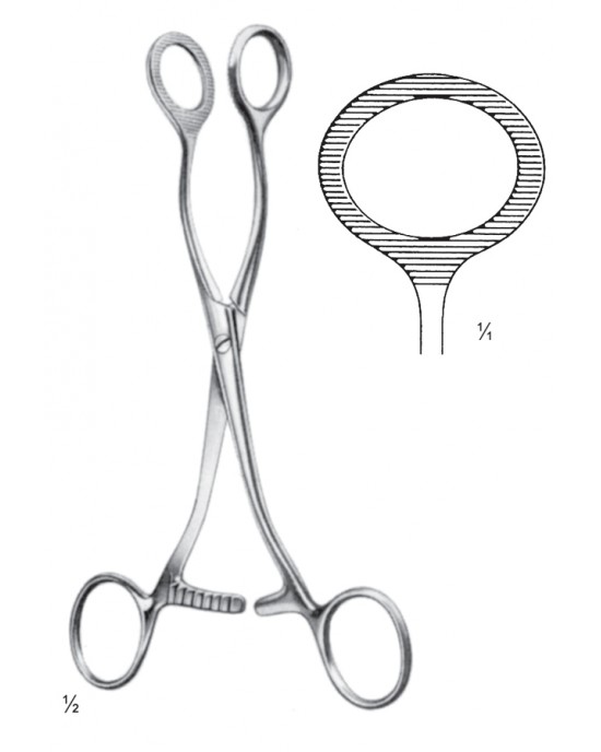 SH- 11-2613-16