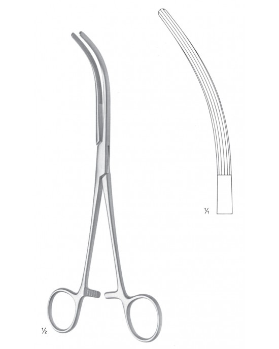 SH- 11-2649-24