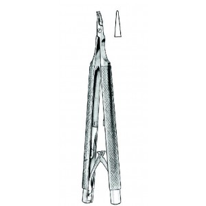 SH- 17-5088-13