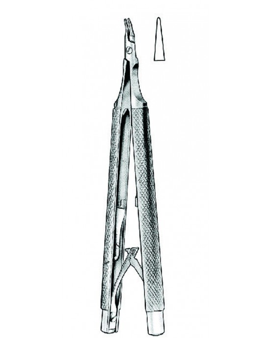 SH- 17-5088-13