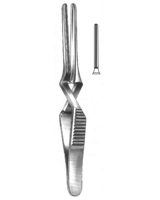 SH- 19-5529-07