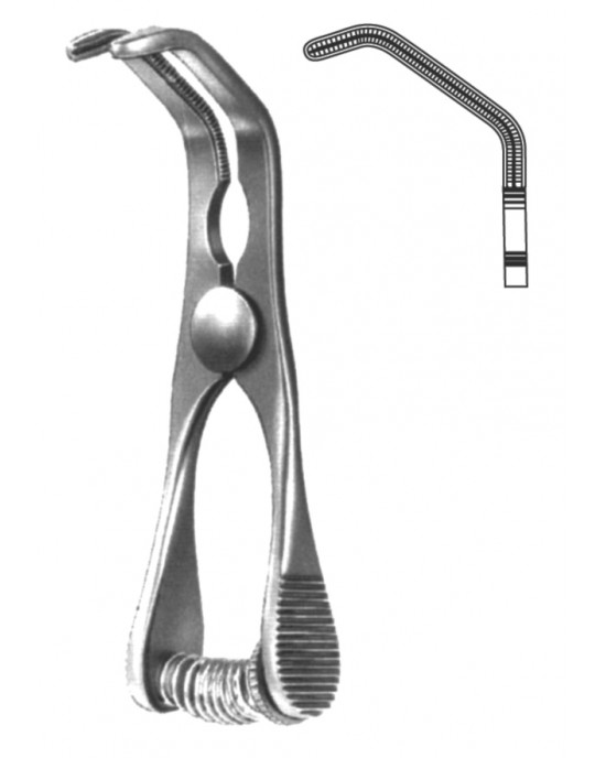 SH- 19-5536-07