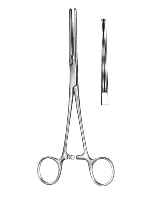 SH- 19-5578-14