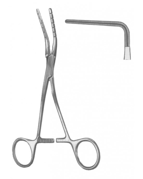 SH- 19-5596-01