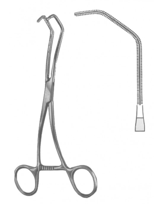 SH- 19-5600-04