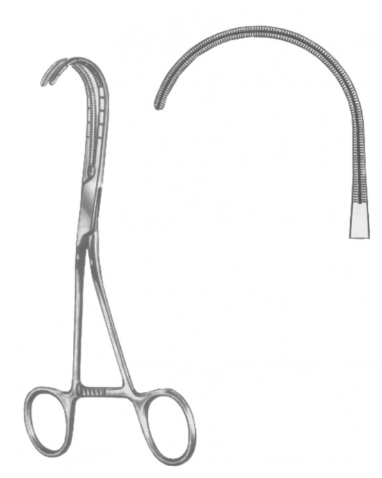 SH- 19-5604-17