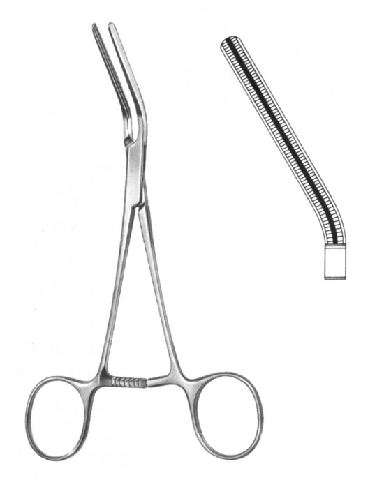 SH- 19-5751-08