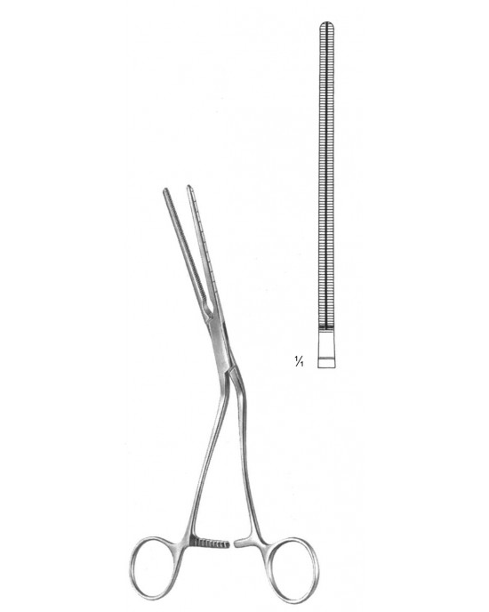 SH- 19-5823-25