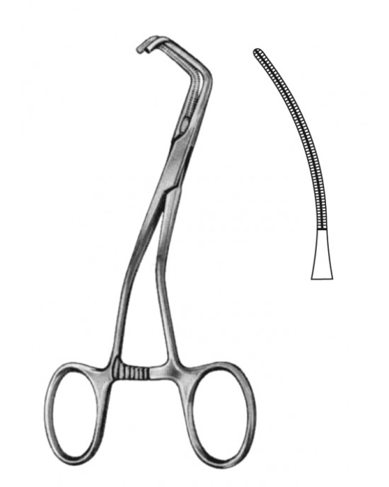 SH- 19-5843-25