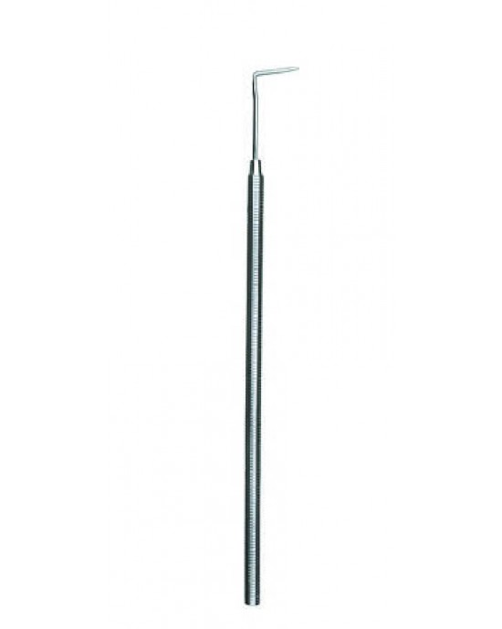 Probe 