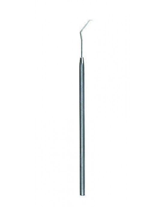 Probe 